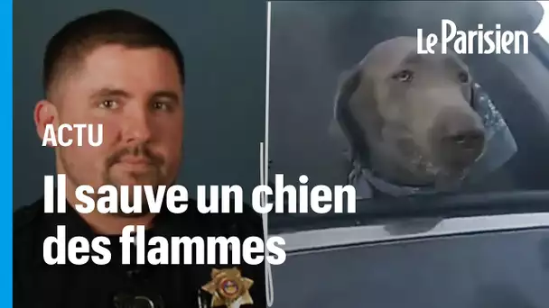 Etats-Unis : l'incroyable vidéo d'un policier qui sauve un chien des flammes