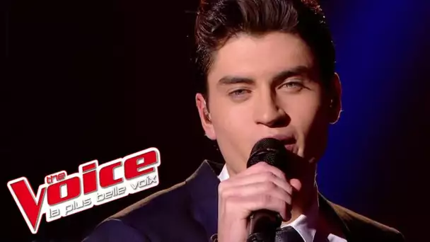 Avicii – Wake Me Up | David Thibault | The Voice France 2015 | Prime 1