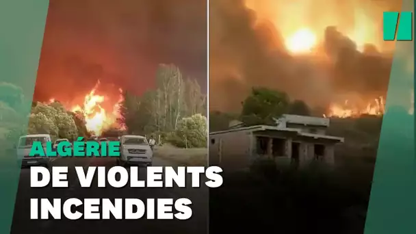 En Algérie, une trentaine d'incendies ont fait au moins cinq morts