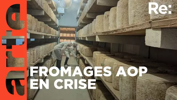 Les fromages AOP dans la tourmente | ARTE Regards