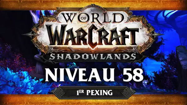 WoW Shadowlands #7 : Niveau 58 (ft. Lapi, Gius, Kenny et Flora)