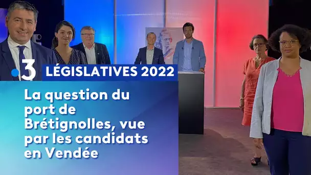 Législatives 2022 : la question du port de Brétignolles, vue par les candidats en Vendée