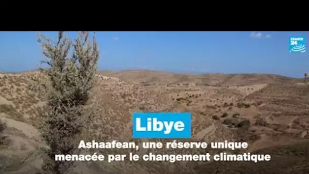 Libye : Ashaafean, une réserve unique menacée par le changement climatique • FRANCE 24