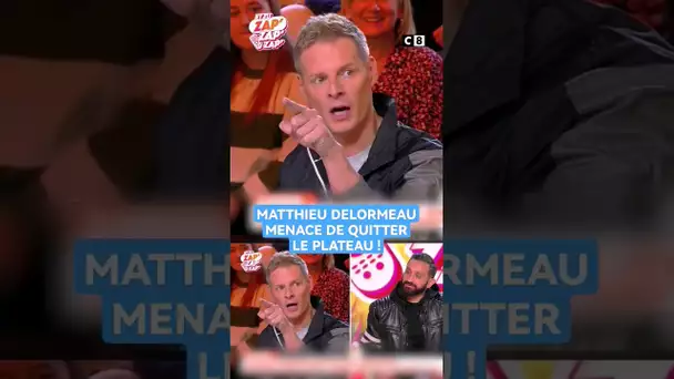 Matthieu Delormeau menace de quitter le plateau de #TPMP en plein direct !