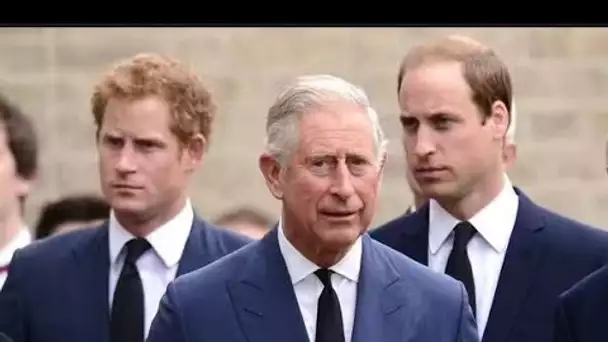 Le roi Charles veut "Harry de retour dans la famille" mais William est toujours "furieux" contre son