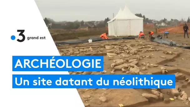 Archéologie : des vestiges du néolithique près de Mulhouse