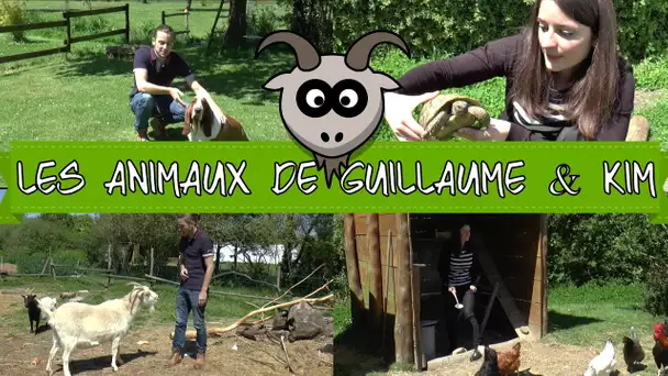 LES ANIMAUX DE GUILLAUME ET KIM | GOAT SIMULATOR EN VRAI !