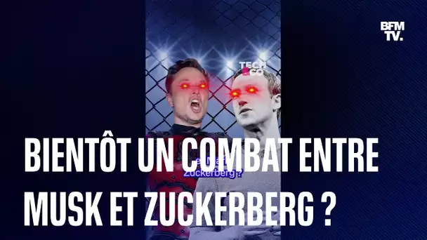 Bientôt un combat en cage entre Elon Musk et Mark Zuckerberg ?