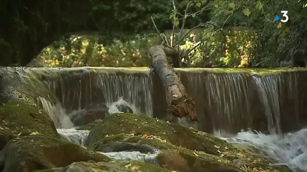 Savoie : les gorges du Sierroz, un trésor touristique oublié en passe d'être réhabilité