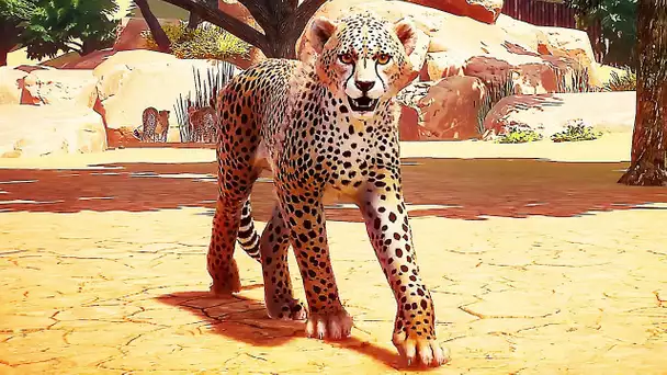 PLANETT ZOO Bande Annonce de Gameplay (2019)