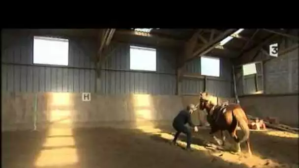 Connaissez-vous les poney games ? (France 3 Bretagne)