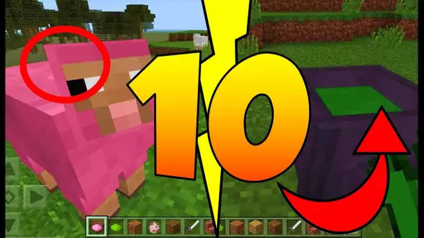 TOP 10 DES EXCLUS DE MINECRAFT POCKET EDITION ! MCPE FR