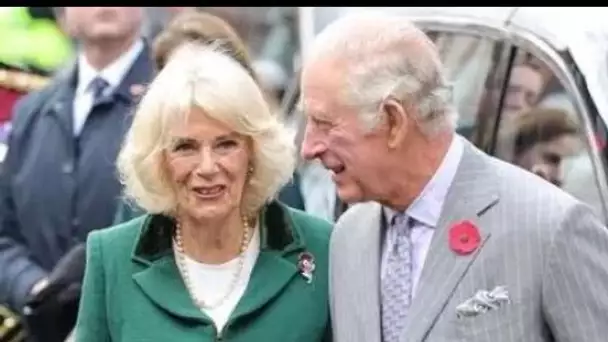 Le roi Charles et Camilla ravissent un garçon malvoyant avec un public unique après la lettre