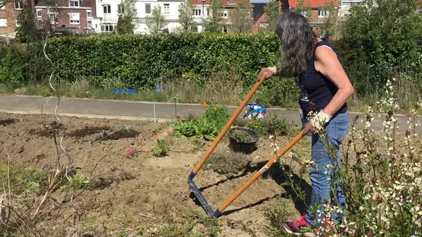 Coronavirus : à Marcq-en-Barœul, les jardins familiaux rouvrent leurs portes sous le soleil