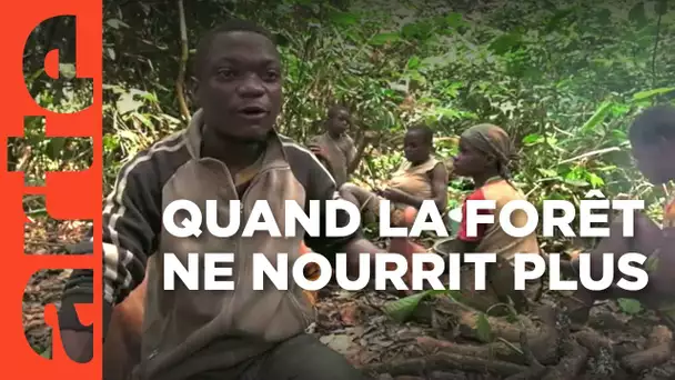 Cameroun : la terreur verte | ARTE Reportage