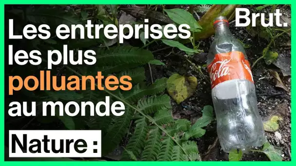 Plastique : voici les entreprises les plus polluantes au monde