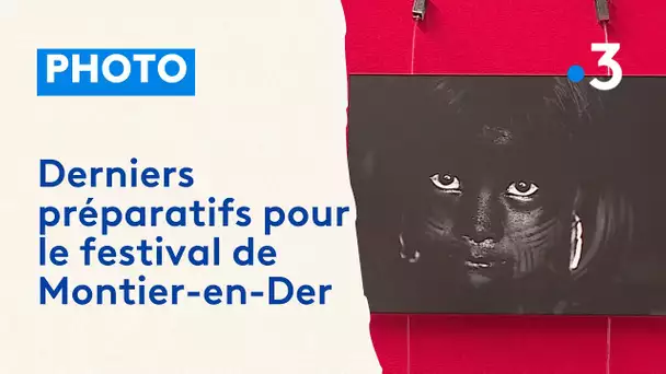 Montier-en-Der : le festival de photographie animalière et de nature se prépare