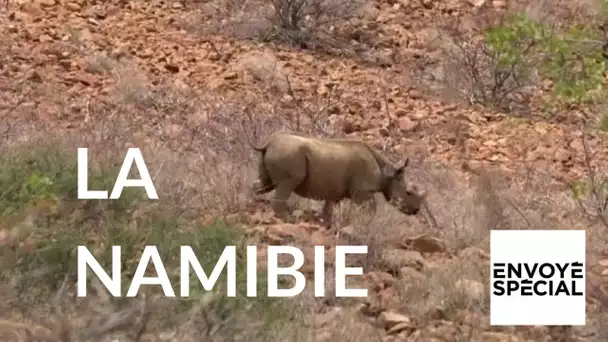 Envoyé spécial - Namibie : la rédemption des braconniers – 02 mars 2017 (France 2)