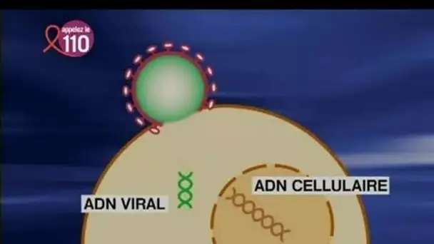 L'anti intégrase contre le sida