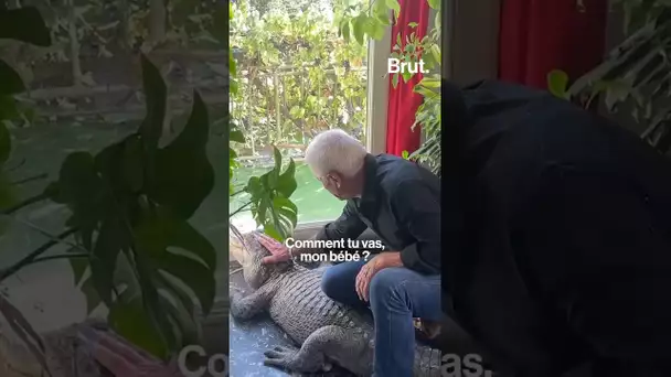 Il vit avec deux alligators dans son salon 😱
