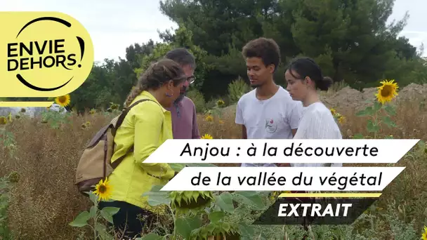 ENVIE DEHORS ! Anjou : à la découverte de la vallée du végétal [extrait]