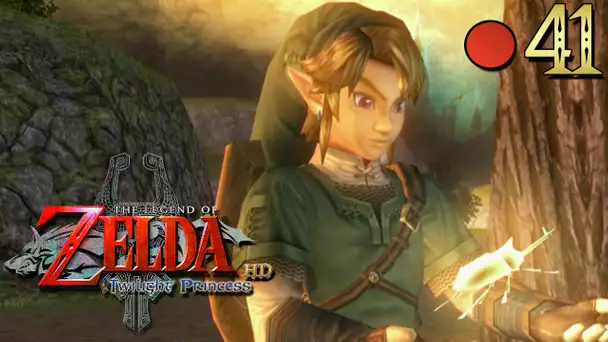 Zelda Twilight Princess HD #41 : LES INSECTES DORÉS 🔴