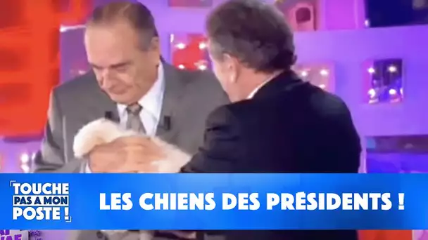 La patte d'Andréa Bruche : les chiens des présidents !