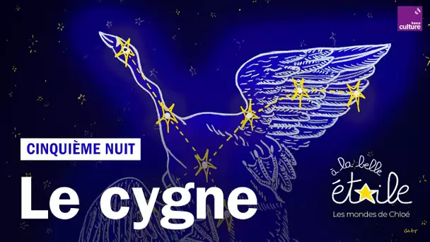 Le Cygne, 5e nuit à la belle étoile : Les mondes de Chloé