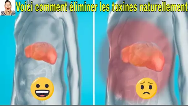 Voici comment éliminer les toxines des reins, du foie et de la vessie naturellement