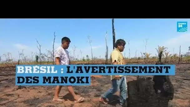 Incendies en Amazonie, l'inquiétude des indiens Manoki