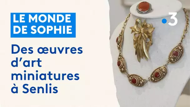 Le monde de Sophie : Des œuvres d'art miniatures à Senlis
