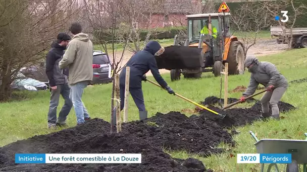 Plantation d'une "forêt comestible" à La Douze