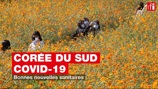 Corée du Sud, Covid-19 : bonnes nouvelles sanitaires