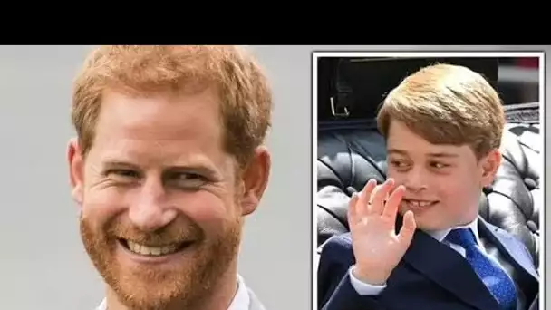 Le prince George tient de son oncle le prince Harry avec amour pour un sport en particulier