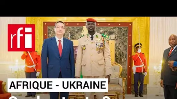 Yuri Pyvovarov : « L'Ukraine a perdu du temps dans son dialogue avec l'Afrique » • RFI