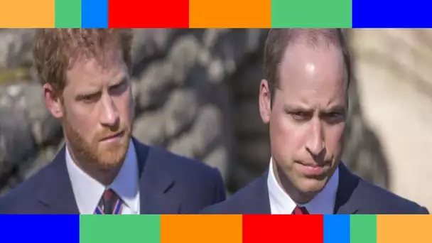 « C'est cruel  »  Harry et William accusent le coup, la mémoire de Diana bafouée
