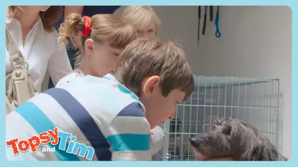 Topsy et Tim en Français | Je t'aime Molly | WildBrain Enfants | Compilation d'Épisodes