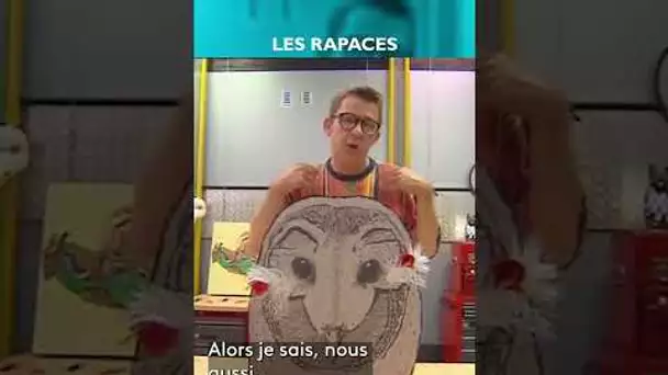 🦅 A quoi servent les oreilles des rapaces nocturnes ? #CPS #shorts