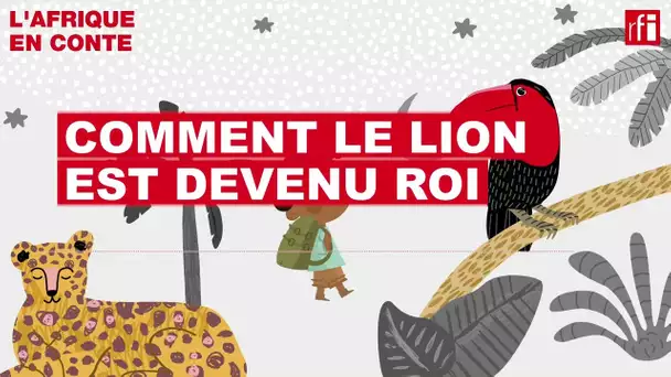 Afrique en conte • Comment le lion est devenu roi • RFI