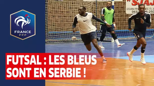 Futsal : Les Bleus en Serbie