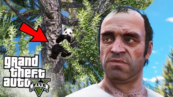 UN PANDA CACHÉ SUR GTA 5 ! (Easter egg ?)