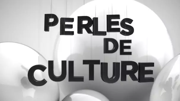 Perles de Culture n°198 : la cathédrale de Chartres en danger
