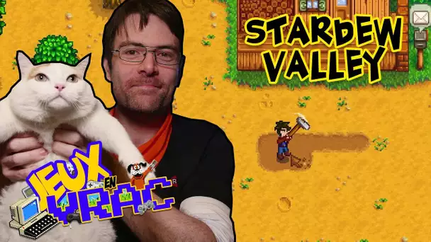 JEUX EN VRAC - STARDEW VALLEY