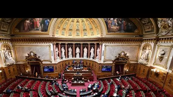 Le Sénat vote largement en faveur de l'inscription de l'IVG dans la Constitution, le Congrès réun…