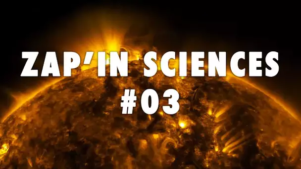 Zap'In Sciences #03 - L'Esprit Sorcier