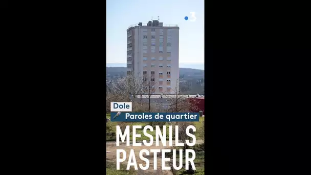 Paroles de quartiers : au cœur de la cité des Mesnils Pasteur à Dole