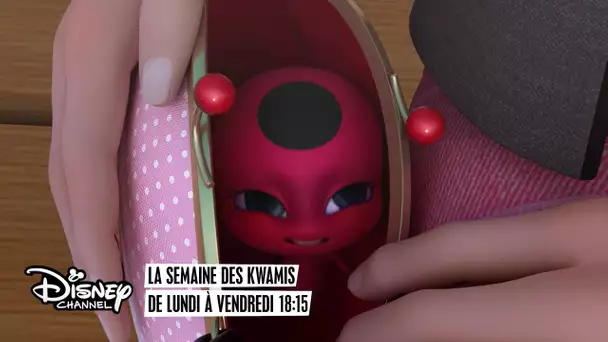 Miraculous Les Aventures de Ladybug et Chat Noir - du lundi au vendredi à 18h15 sur Disney Channel !