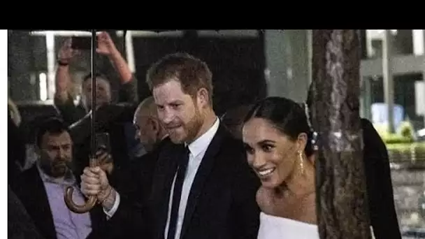 Meghan et Harry font face à un «nombre de risques» comme «un peu un problème» avec la série Netflix