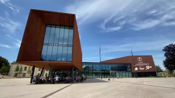 Dijon : la Cité de la Gastronomie attire-t-elle les touristes ?