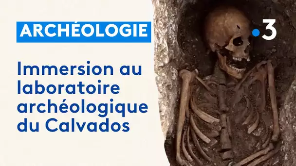 Laboratoire archéologique du Calvados : que se passe-t-il après les fouilles ?